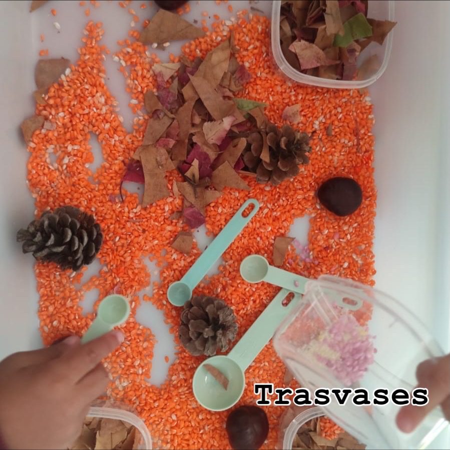 practica-trasvases-motricidad-fina-infantil