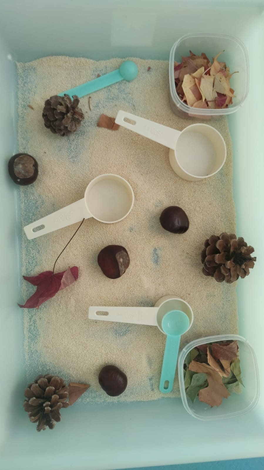 provocacion-sensorial-otono-materiales-naturales